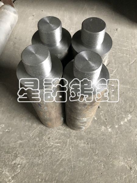 鉬電極 (2)